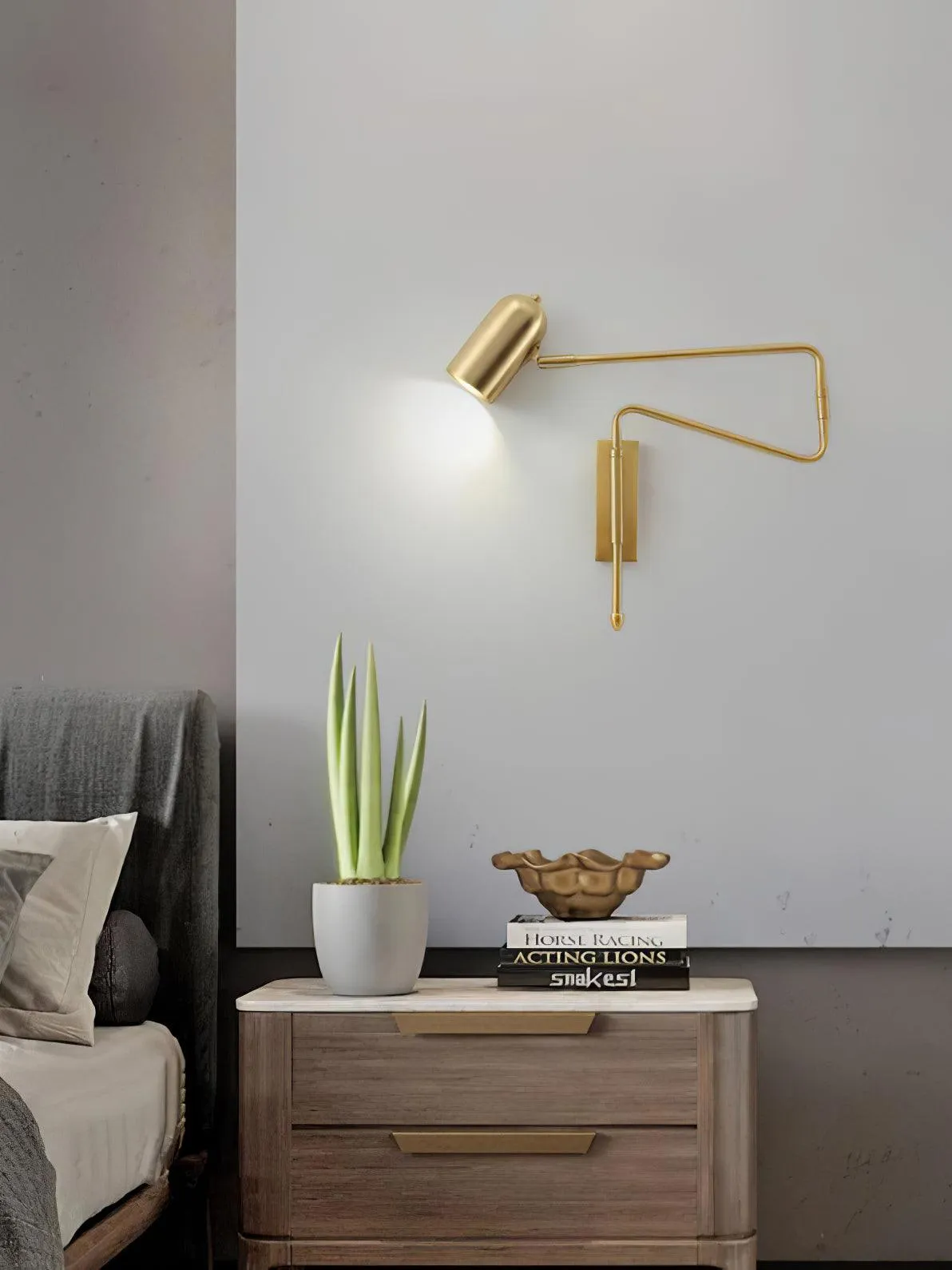 Adjustable Arm Plug In Wall Lamp