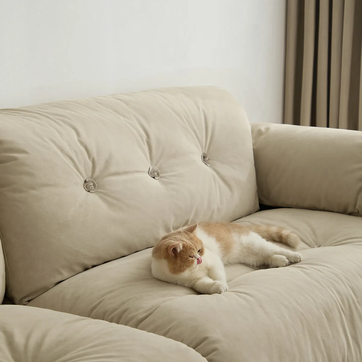 Scratch-Resistant Cloud-like Sofa