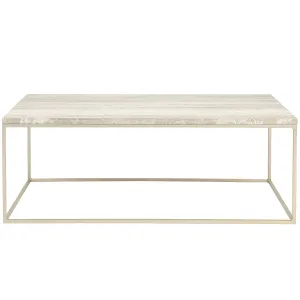 Stray Marble Coffee Table