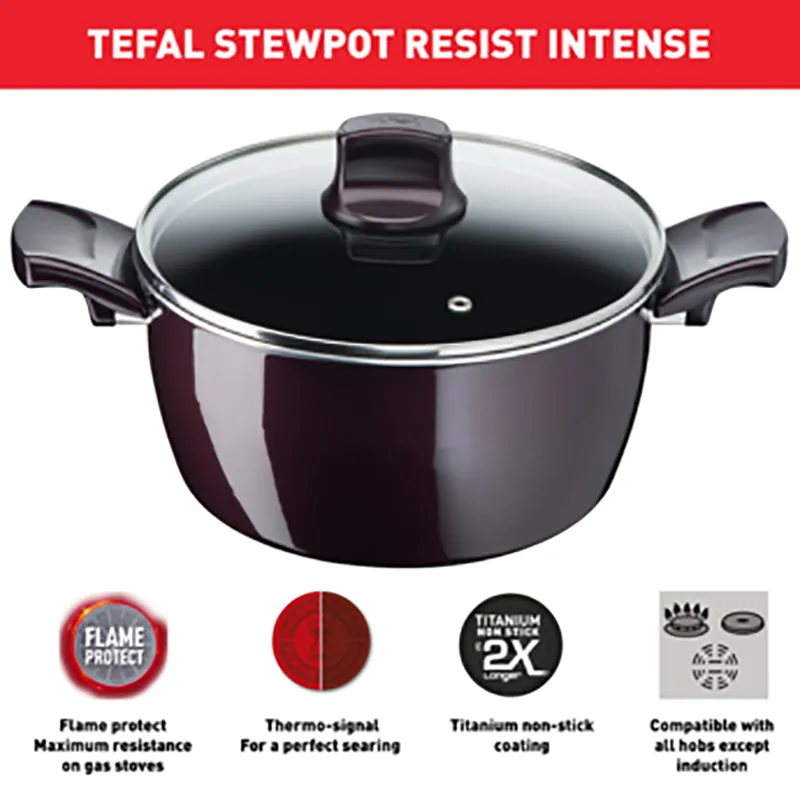 Tefal, D5224582 Resist Intense – Stewpot 22cm   Glass Lid